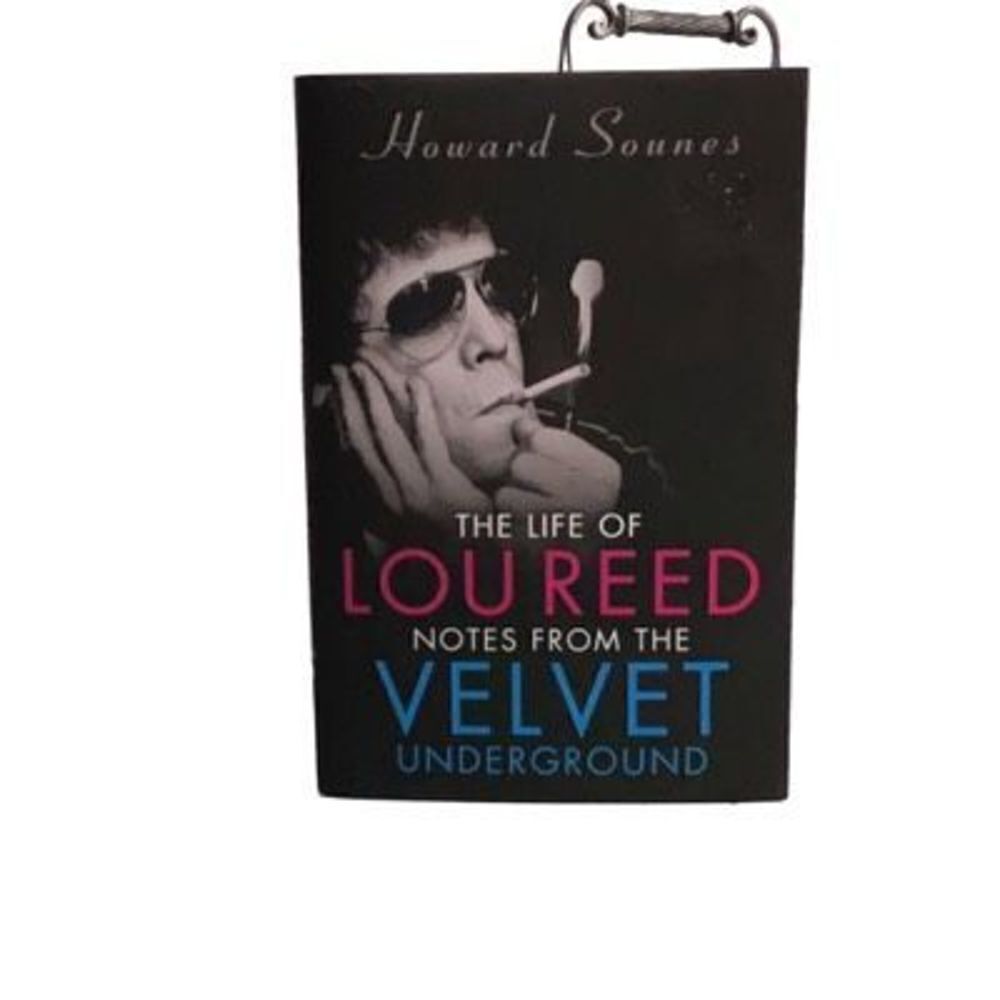 The Life of Lou Reed Notes from the Velvet Underground